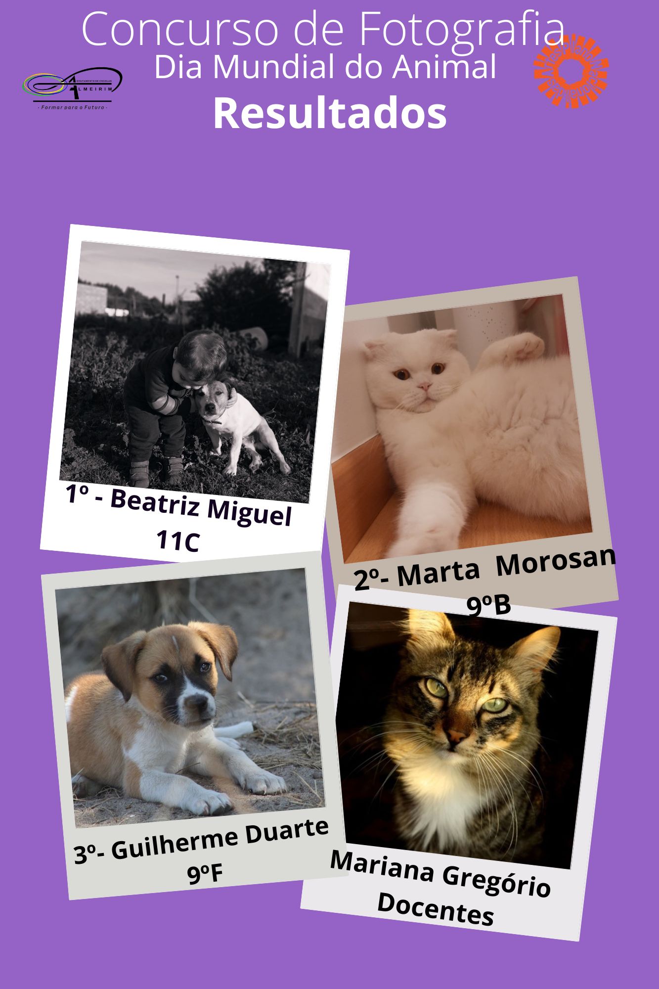 Montagem de fotos divertida verde de amor natalino