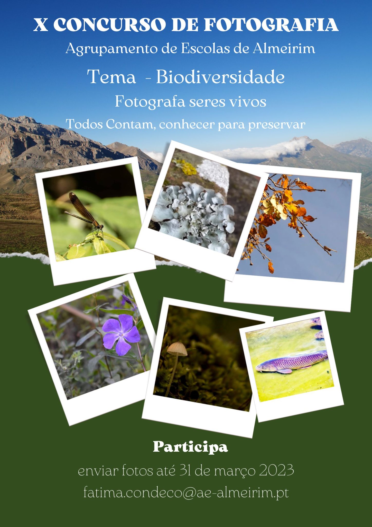 cartaz biod